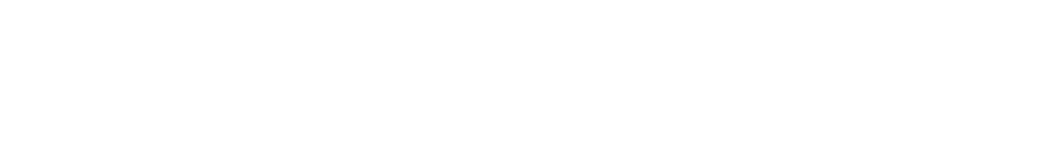 Reliance Audit